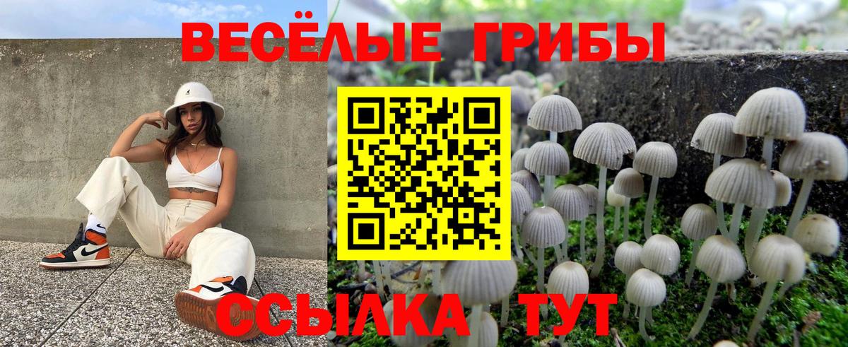 Псилоцибиновые грибы ЛСД  Вход с VPN  Ялта 