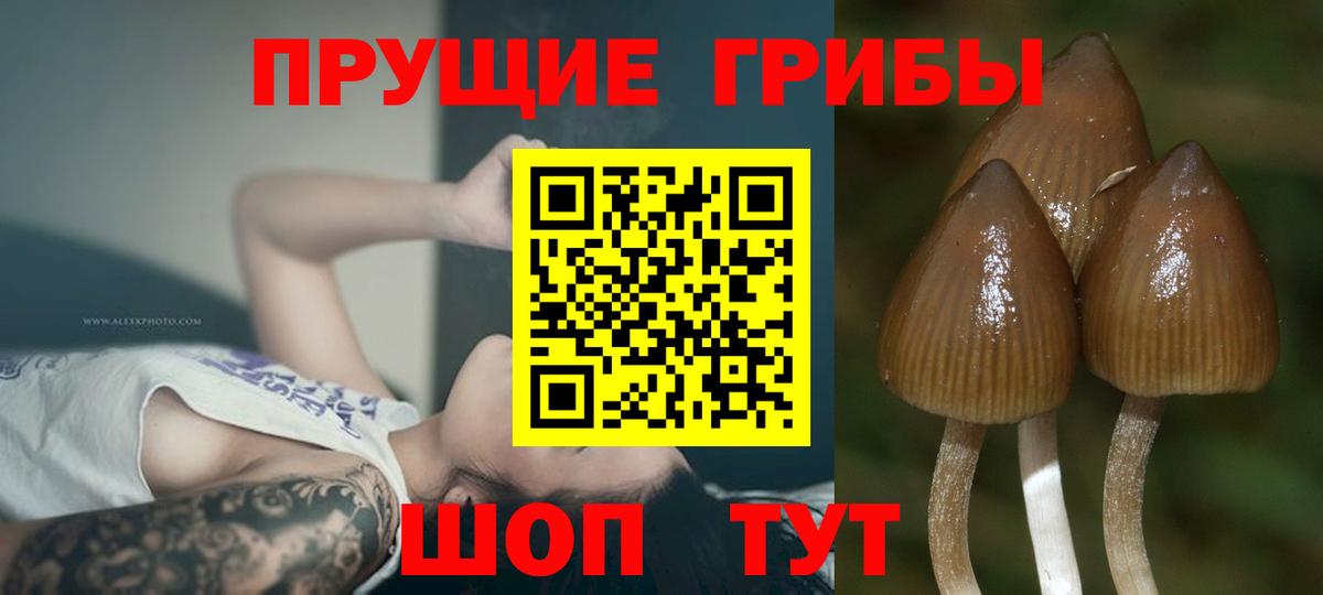 Кетамин  Бошки Шишки  Ялта  Мефедрон   Cocaine  ГАШИШ  Гашиш  Вейп ТГК  Экстази  Вход с VPN 